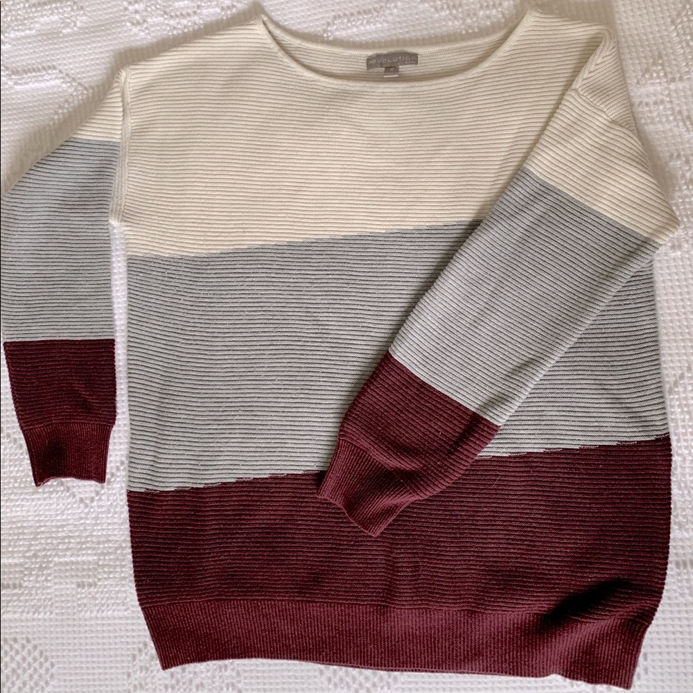 Evolution by Cyrus Color Blocked Sweater